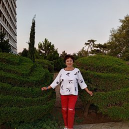 , 66, --