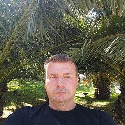 , 50, 