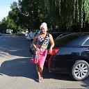 ���� �����, ������ - ��������� 12 ������ 2026 � ������ ���� ����������