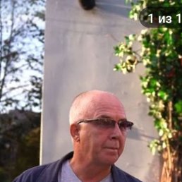 ������, 59 ���, ���������