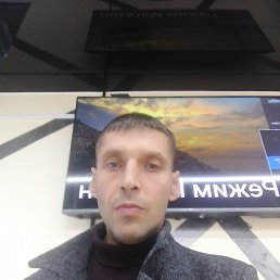 , 41, -