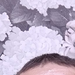 �������, ������, 40 ���