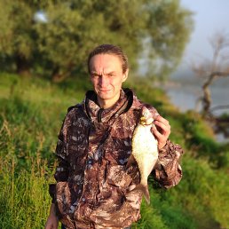 , 41, 