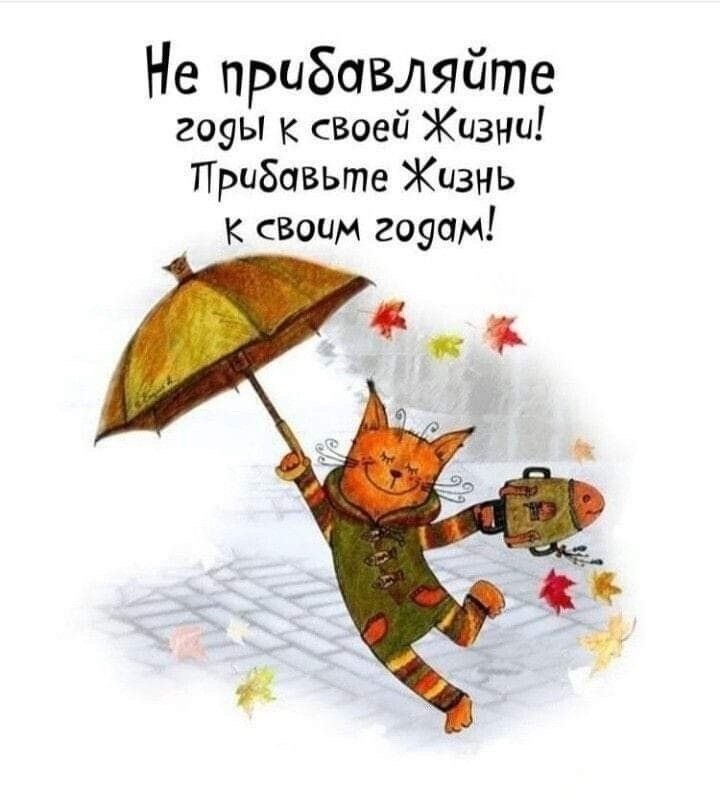  , !() - 17  2024  11:46