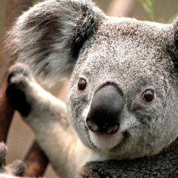 ������, ������, 67 ���