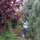  , , 70  -  18  2023   2923 