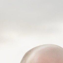 ������, ����, 25 ���