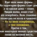 ���� ��������, �����, 53 ���� - ��������� 3 ���� 2024 � ������ ���� ����������