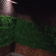 Yusuf, 34 ����, ���������