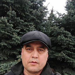 , 41, -