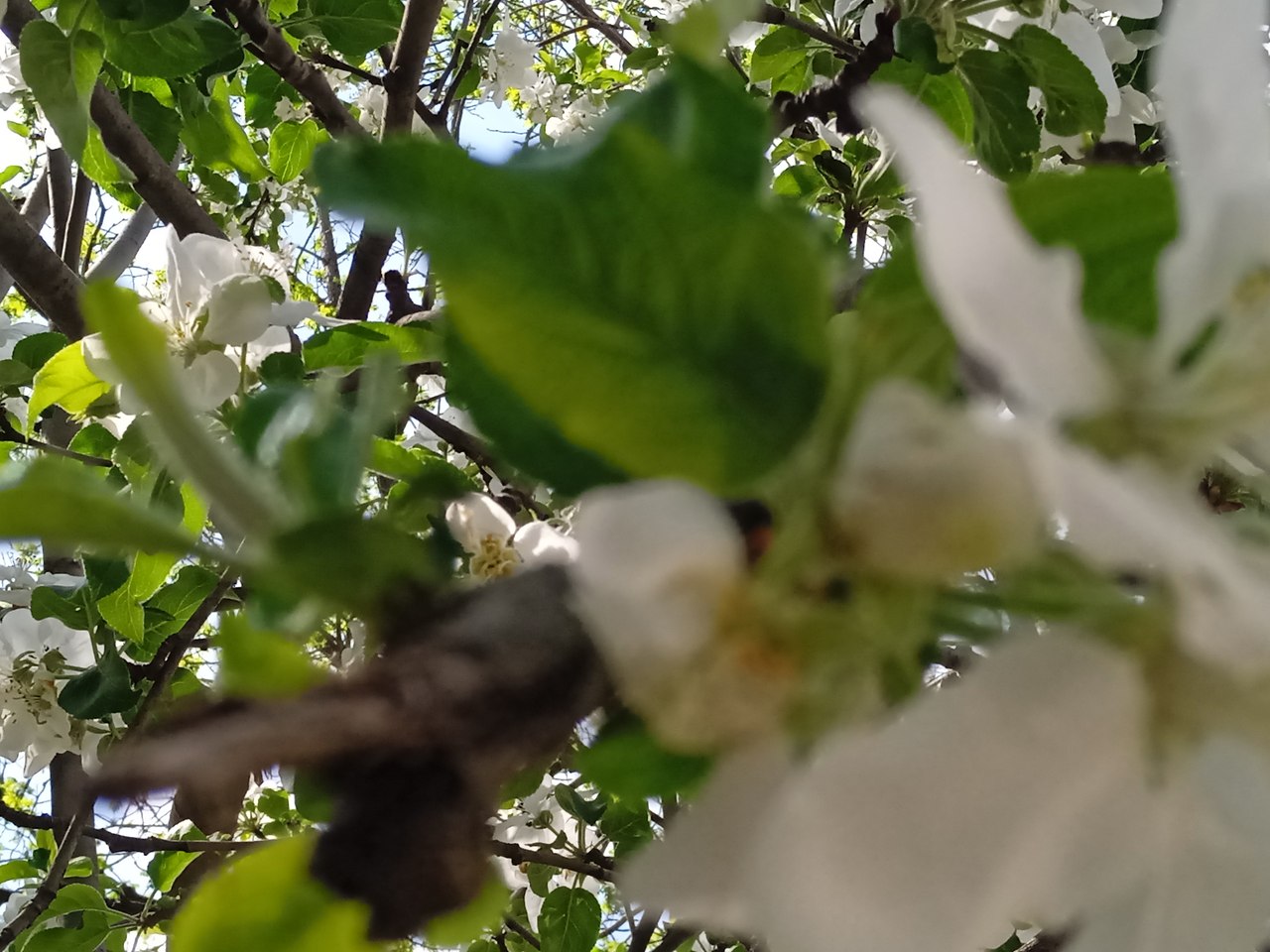 ���� ������� - 9 ��� 2026 � 20:27 - 2