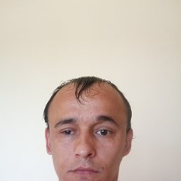 , 36, 