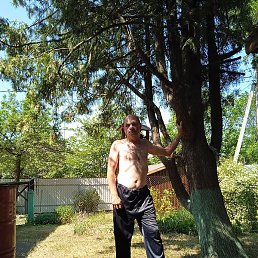 ����, ����, 51 ���