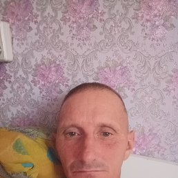 , 42, 