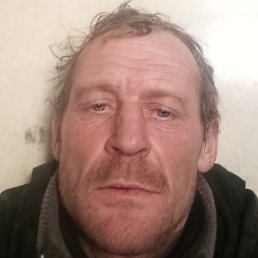 ������� ������, ����, 39 ���