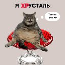 ���� ����, ������ - ��������� 19 ������ 2026 � ������ ������ ��������