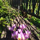 ���� �����, ������, 65 ��� - ��������� 22 ������� 2023 � ������ ���� ����������