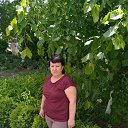 ���� ����, ����������, 61 ��� - ��������� 26 ���� 2025 � ������ ���� ����������