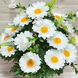 ���� �����, ������, 45 ��� - ��������� 3 ������ 2026