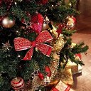 ���� �����, ����������� - ��������� 14 ������� 2025 � ������ ���� ����������