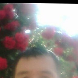 ���� ����, �������, 50 ��� - ��������� 4 ������� 2024