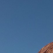 ��������, 36 ���, �������