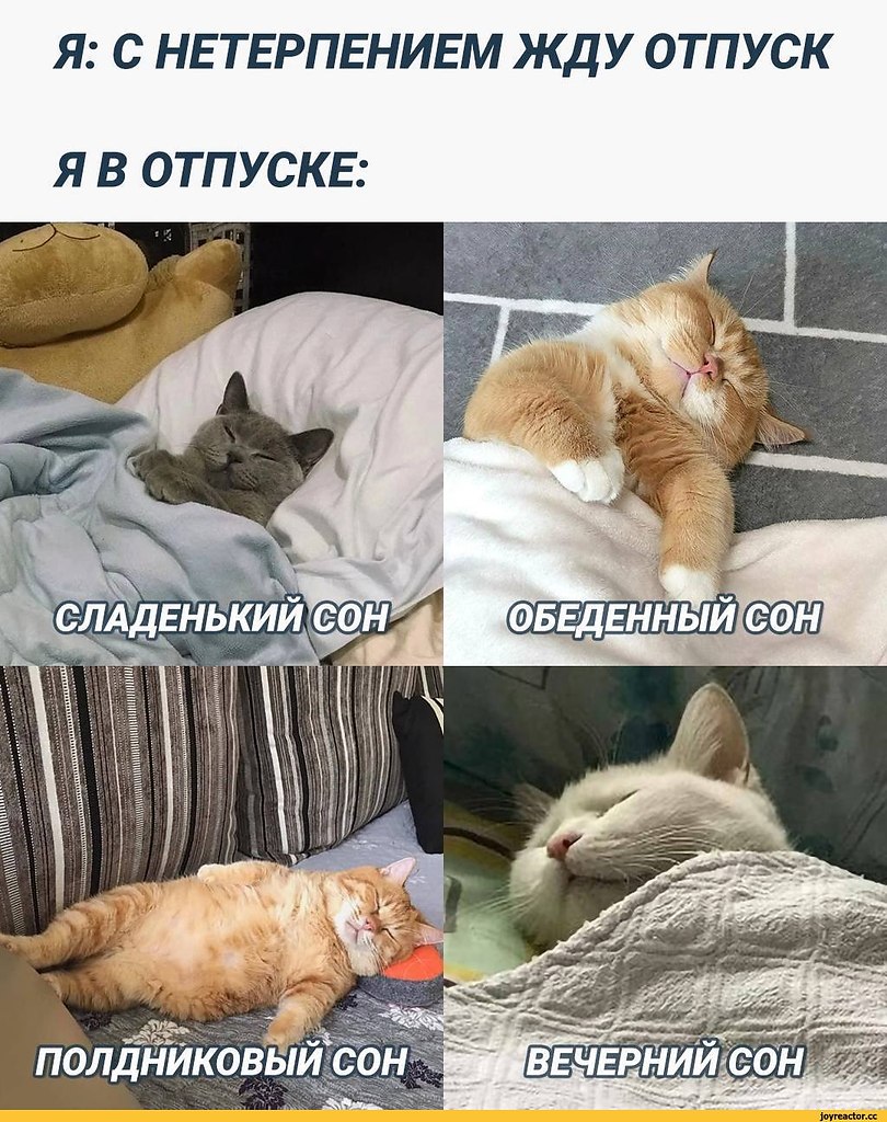   - 28  2025  18:38