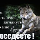 ���� ���������, ����, 54 ���� - ��������� 15 ������ 2023 � ������ ���� ����������