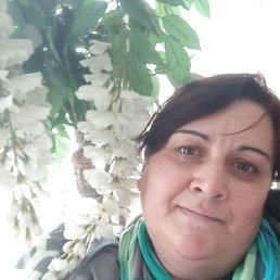 �������, ����, 44 ����