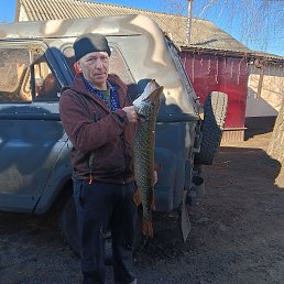 , 53, 