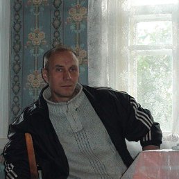 , 61, 