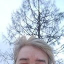 ���� ������, �����, 53 ���� - ��������� 15 ������ 2026 � ������ ���� ����������