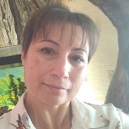 �����, ���������, 49 ���