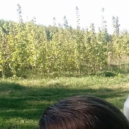 ��������, �������, 34 ����