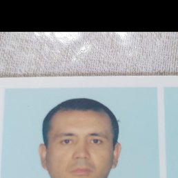 , 46, 