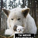 ���� �����, ����������, 43 ���� - ��������� 26 ������ 2026