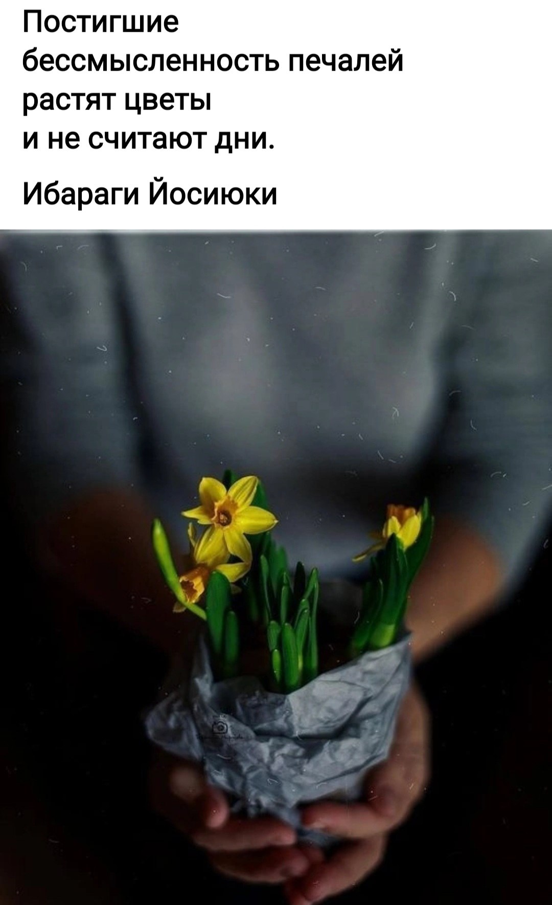 *T* - 23  2024  21:29