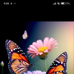 ���� ���, ����, 49 ��� - ��������� 15 ������ 2026