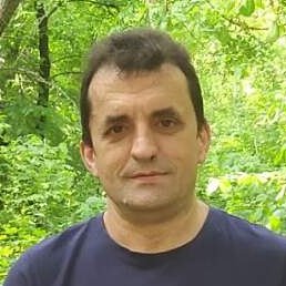 , --, 50 