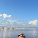 ���� ��������, �����, 48 ��� - ��������� 5 ������� 2024