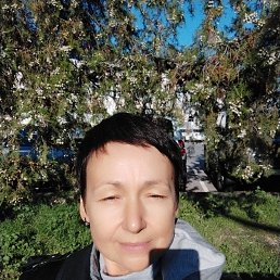 , 58, 