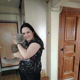  , 40, 