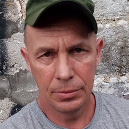 �����, ��������, 41 ���