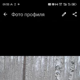 , 53, 