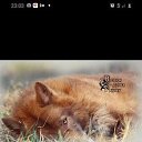 ���� �������, ������, 41 ��� - ��������� 14 ������ 2024 � ������ ���� ����������