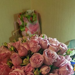 �, ���������, 64 ����