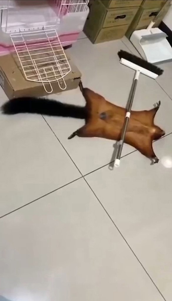     - 2