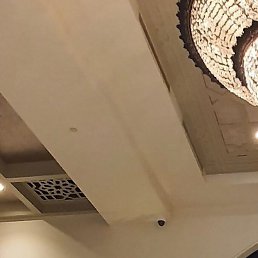 Lana, �����, 40 ���