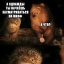 ���� ������, �����-���������, 61 ��� - ��������� 11 ������ 2025 � ������ ���� ����������