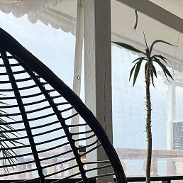 �������, �����������, 37 ���